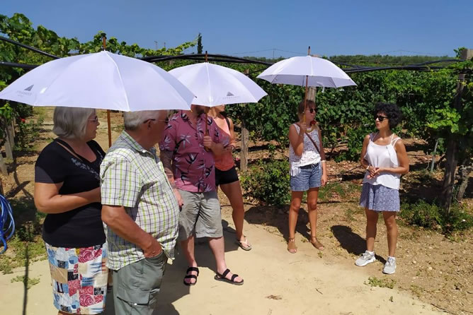 Wine barrels and cellar visit during a Cretan wine tasting tour